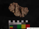 L_V20d4047 A16q11 R827 dM la f3.JPG L_V20d4047 A16q11 R827 dM la f3